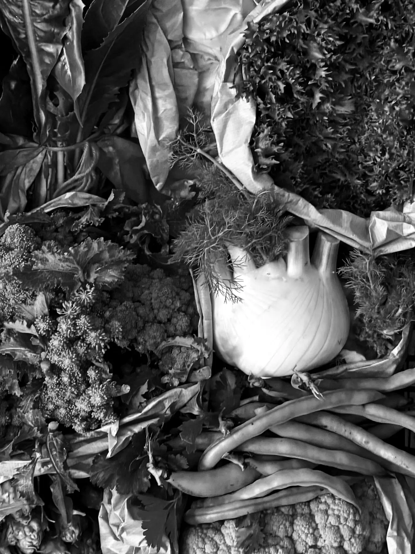 Apruzzi Frutta e Verdura